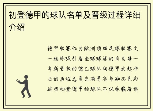 初登德甲的球队名单及晋级过程详细介绍