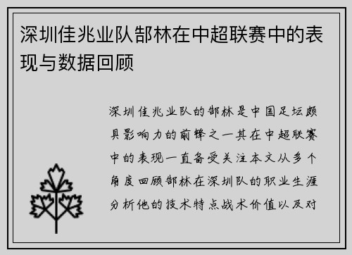 深圳佳兆业队郜林在中超联赛中的表现与数据回顾