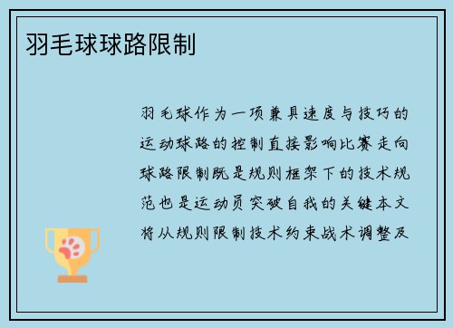 羽毛球球路限制